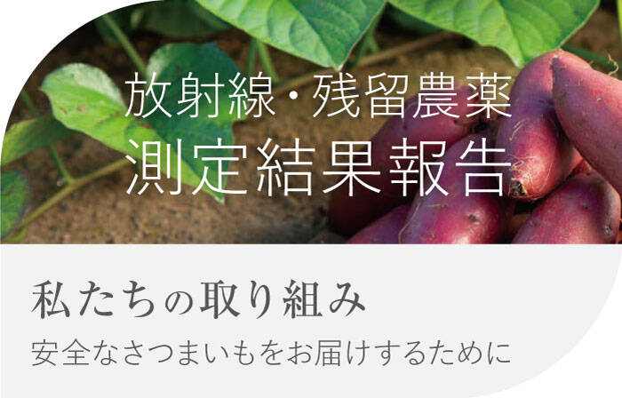 私たちの取りくみ