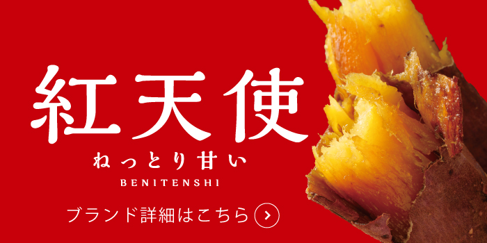 紅天使について