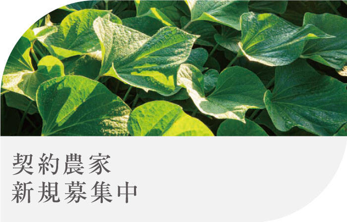 契約農家募集