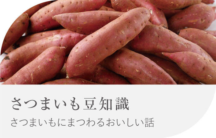 さつまいも豆知識