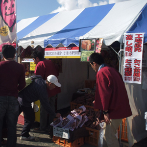 JA全農いばらき、いばらきコープ共催「たべる、たいせつ惚れ2収穫祭2010」に出店しました。